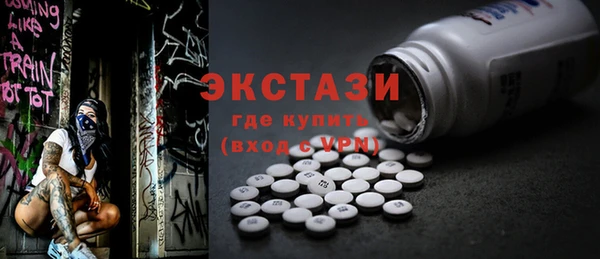 индика Гусь-Хрустальный