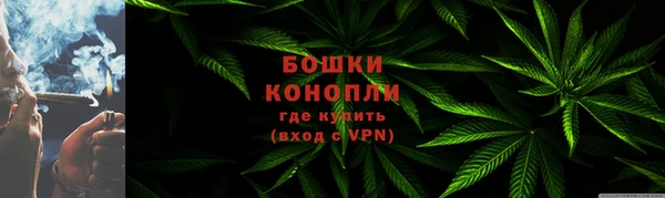 трава Верея