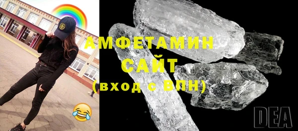 индика Гусь-Хрустальный