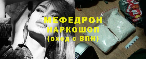мдпв Гусев