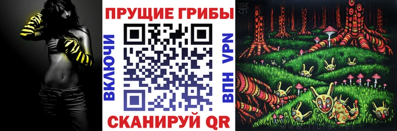 Купить закладки  Когалым  Галлюциногенные грибы ЛСД 